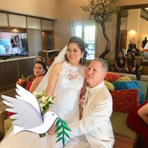 Meet your Posher, Odeng